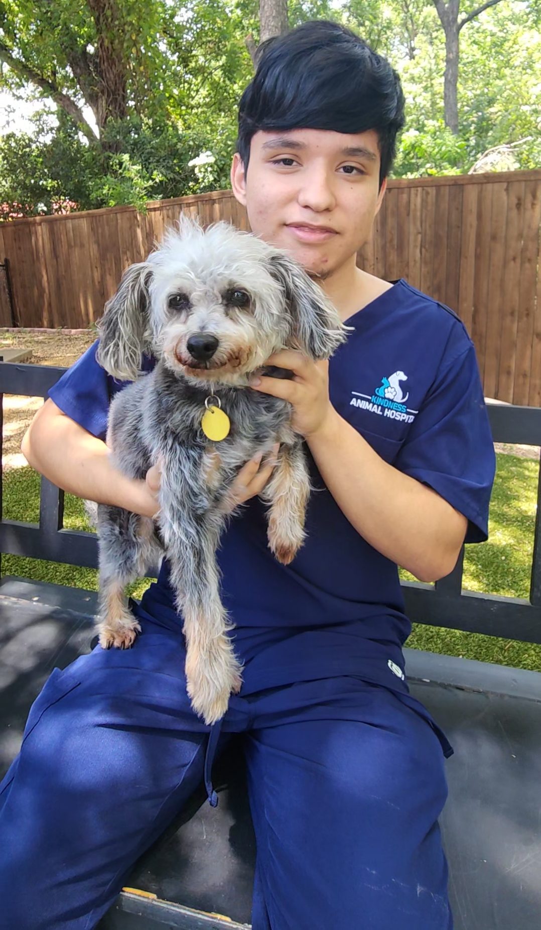Meet Our Staff in Garland, TX Kindness Animal Hospital